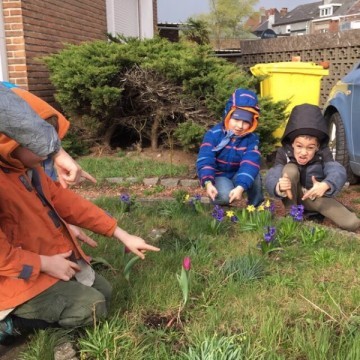 IMG 5488 - Scouts en Gidsen Zaventem 